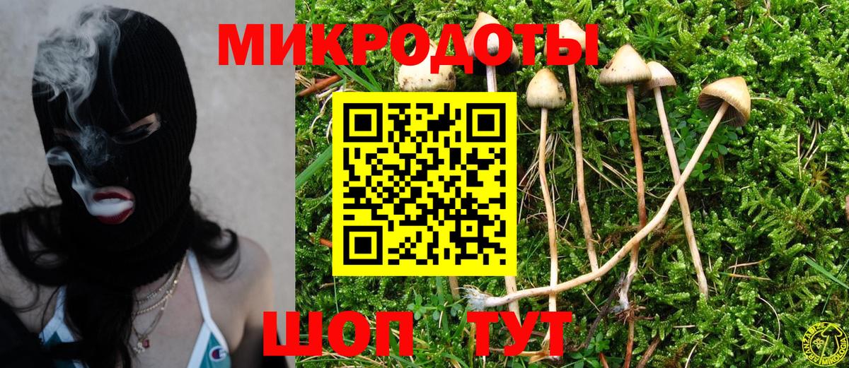 Галлюциногенные грибы Cubensis  Галлюциногенные грибы мицелий  Камышлов  Вход с VPN 